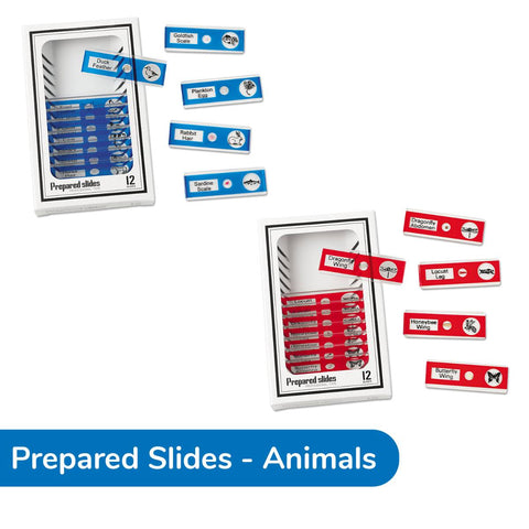 Stempedia Bio Medical Kit